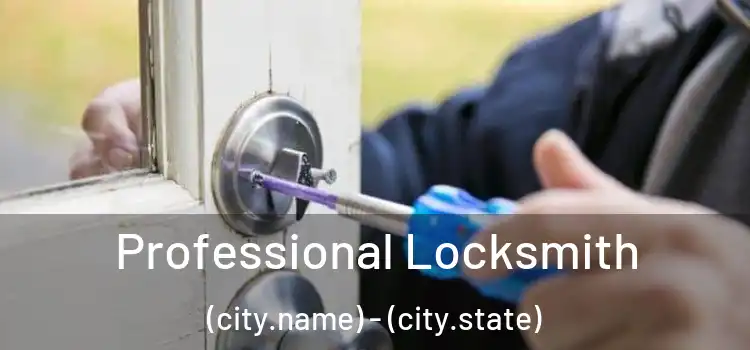 Professional Locksmith (city.name) - (city.state)